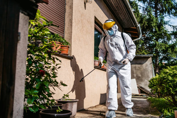 Best Wasp Removal Services  in Belford, NJ