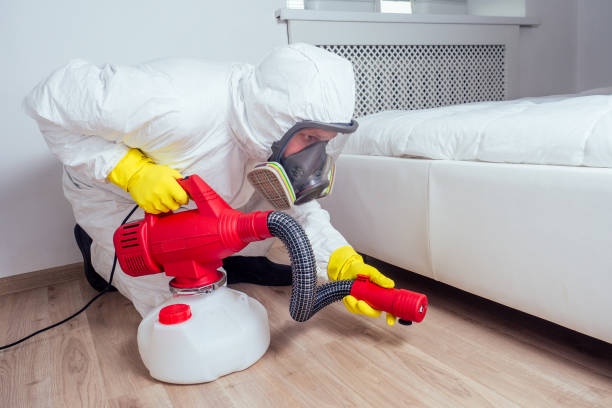 Best Affordable Pest Control Services  in Belford, NJ